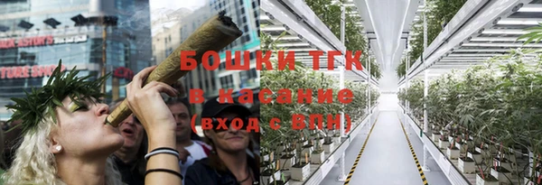 PSILOCYBIN Лабытнанги